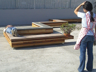 Linear Elements,Christine Lee
