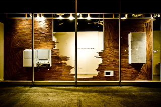 Shims: Thousands of Uses - Use #3 ,Christine Lee
