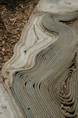 Between Twelve and Three (detail),Christine Lee