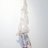 2007_20tie_20a_20pabst_20blue_20ribbon