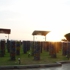 Dsc08038__medium_