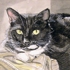 Peanut_complete