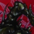 L_b66df29d9b23d25157ca31c33e896628
