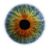 Eyefixlogo