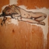 Figure_5