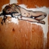 Figure_4