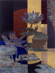 Nymphaea_shaft_of_light_v__3_
