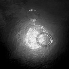 Circles,Jeffrey Conley