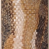 Dsc09750