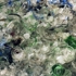 Shards_3