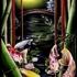 Orientalb8_2