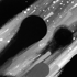 No91detail