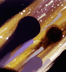 No91detail