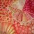 Edible_gems_1