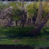 Landscan5griftreepark