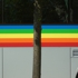 Swedishrainbow
