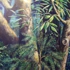 Picture_018