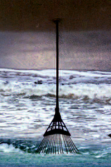 Shore II,Wendy Sue Lamm