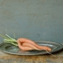 Carrots-14x18-_1200
