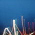 Multilight_webnb