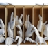 Army_of_hands