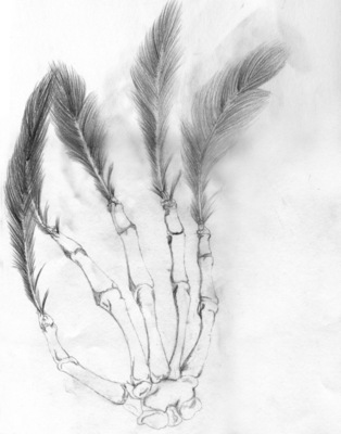Feather_hand