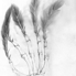 Feather_hand