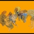 Blaylock_livp_004
