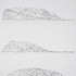 Grey_2127