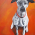 20100927134036-motter_dal_web