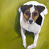 20100927134236-motter_jack-web