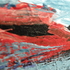 Enthropydetail1
