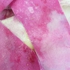 Ph091