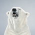 Jill_greenberg_1