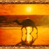 Camel2