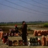 Opening_still_3