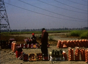 Opening_still_3