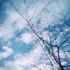 Opening_still_4