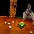 Mad_hatter_s_tea_party_small