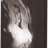 Picasso_on_fire_2002forweb