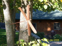 Dragonfly_002