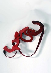 Read/Red,Steve De Groodt