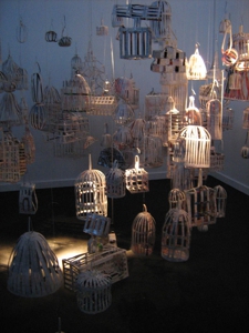 Cages_vern