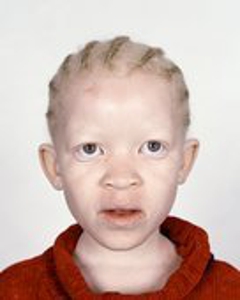 Pieter1