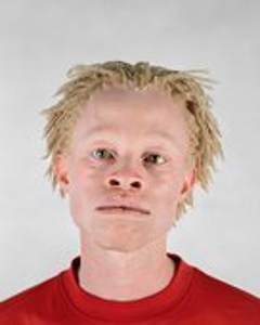 Pieter3