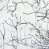 Kellys_twigs