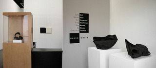 Gallery Installation View,