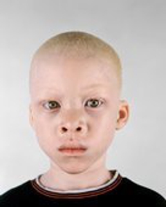 Pieter5