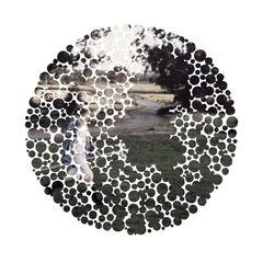 Attentional Landscapes, #20,Odette England