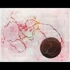 Bridled_orb